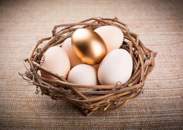 Gold Egg — Stock Photo, Image