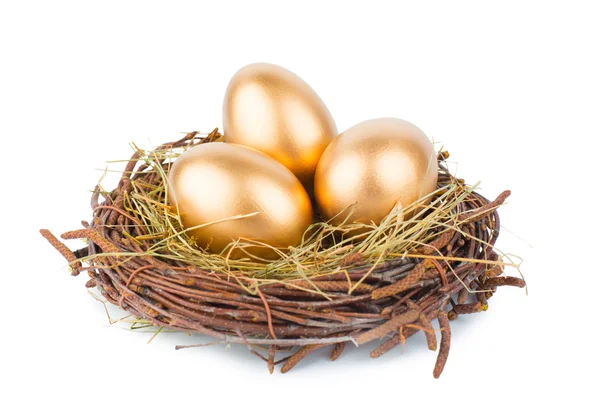 Gold Eggs — Stock Photo, Image