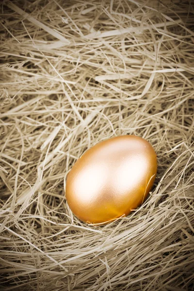 Gold Egg — Stock Photo, Image