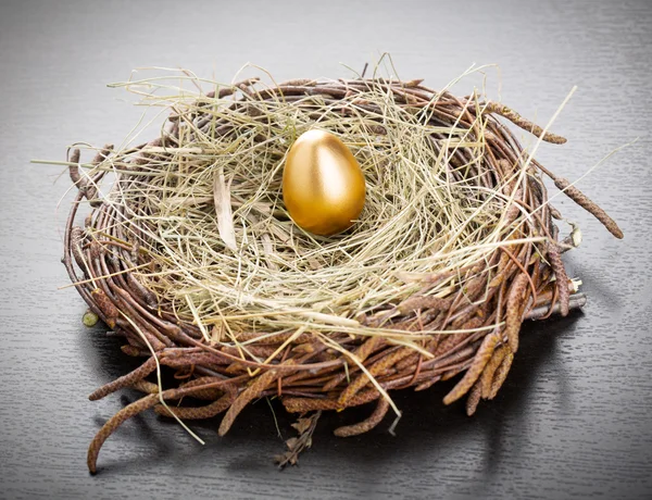 Gold Egg — Stock Photo, Image