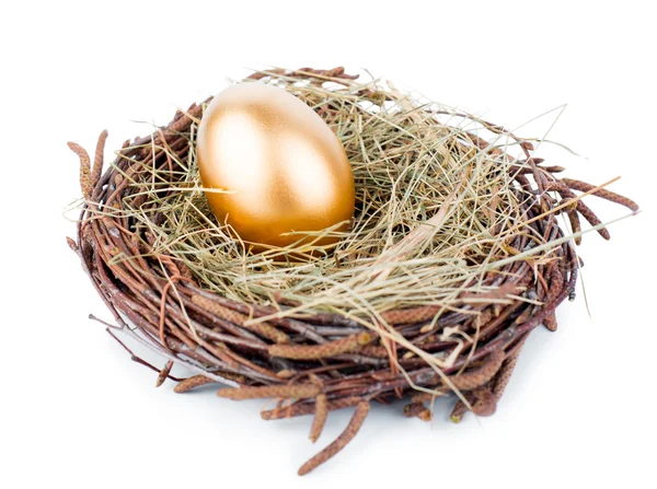 Gold Egg — Stock Photo, Image