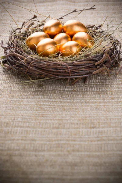 Gold Eggs — Stock Photo, Image