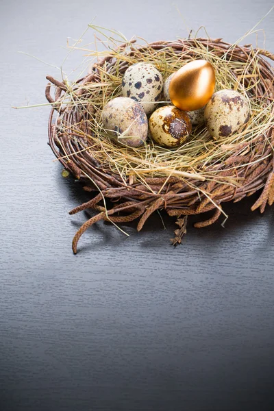 Gold Egg — Stock Photo, Image