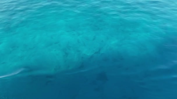 파고의 표면은 복사 공간 이 있는 아름다운 배경입니다. 아리엘은 바다의 파도가고요 하고 평온 한 배경을 보인다고 생각 한다. — 비디오