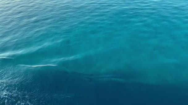 Blå vatten vågor yta, vacker bakgrund med kopieringsutrymme. Ariel utsikt havsvågor lugn och lugn bakgrund.Ocean vatten ytstruktur nära fartyget, flödande vågor och sommarsemester bakgrund — Stockvideo