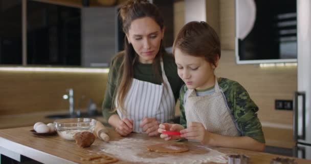 Genç bir aile annesi ve oğlu mutfak masasında ev yapımı kurabiyeler yapıyor ve gülümseyen mangırlarla konuşuyorlar. Sağlıklı yiyecekler, yaşam tarzı ve ebeveynlik kavramı. Yavaş çekim — Stok video