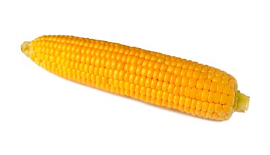 mısır