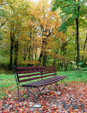 Parktaki eski bank..