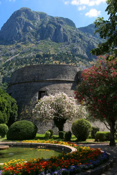 Montenegro — Stockfoto