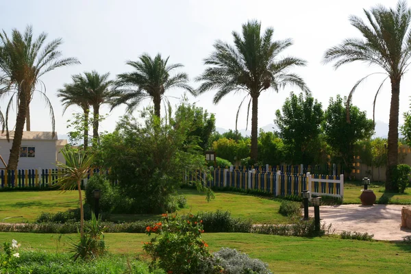 Tropikalny ogród — Zdjęcie stockowe