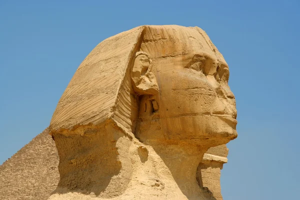 Egyptische sphinx — Stockfoto