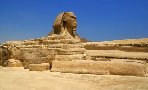 Egyptische sphinx — Stockfoto