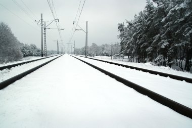 Kış tren