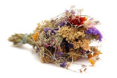 kurutulmuş fllowers