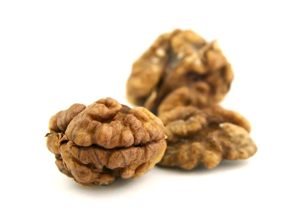 Walnut — Stock Photo, Image