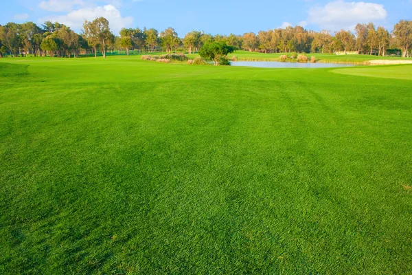 Golf veld — Stockfoto