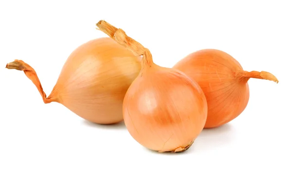 Onion bulbs — Stock Photo, Image