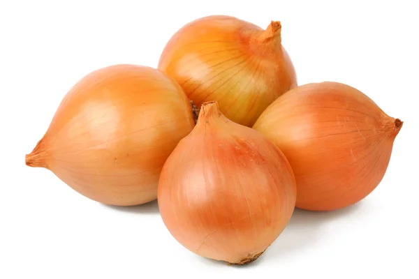 Onion bulbs — Stock Photo, Image