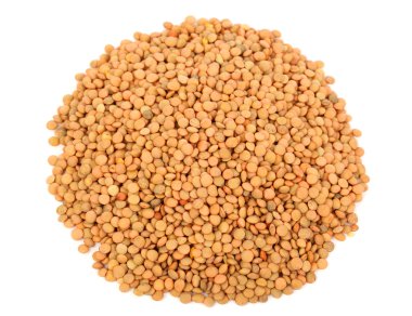 Mercimek tohumları