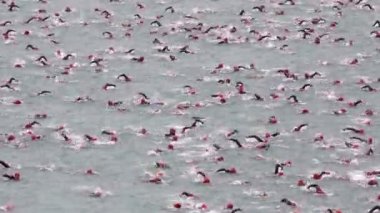 yüzücü triatlon içinde toplu çıkış.