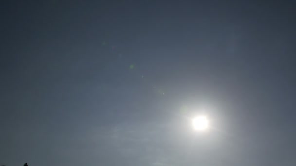Atterrissage de nuit de l'avion au ralenti 