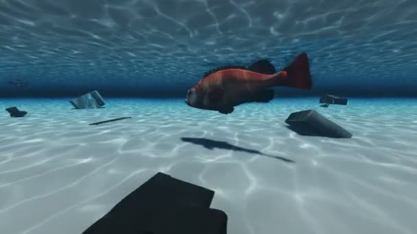 Vissen onder water met huisvuil — Stockvideo