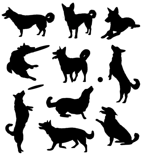 Set of silhouettes of a dog — Stock Vector