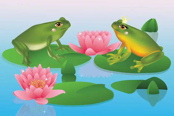 Two frogs sitting on a lake surrounded by water lillys. — Stock Vector