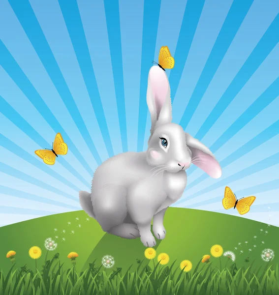 Cute grey rabbit on the hill. Dandelions and grass in the foreground.