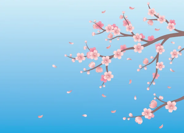 春の桜の枝と背景. — ストックベクタ