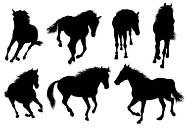 set bir silueti bir at.