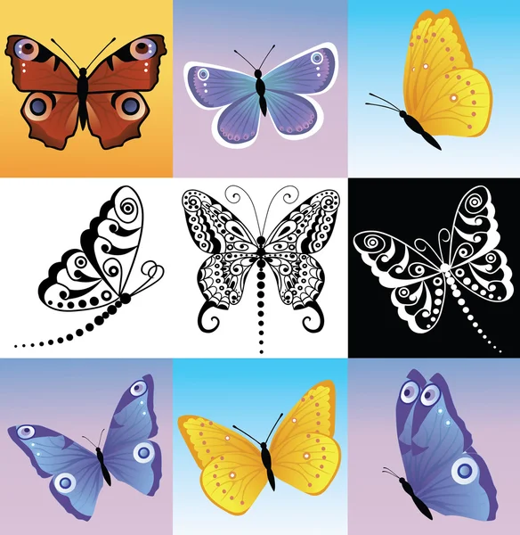 Diferentes tipos de mariposas . — Vector de stock