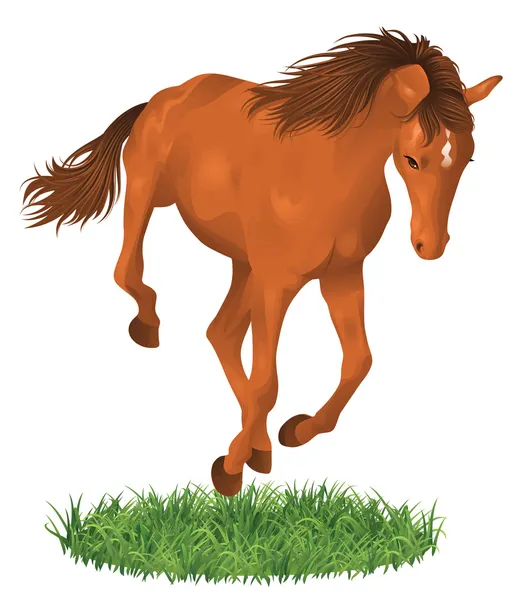 Isolated jumping horse. — Stock Vector