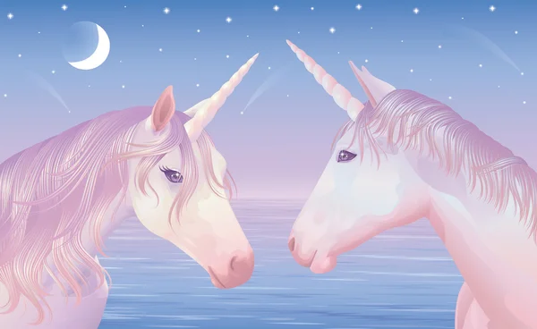 Dva kouzelné unicors na krásný západ slunce. — Stockový vektor