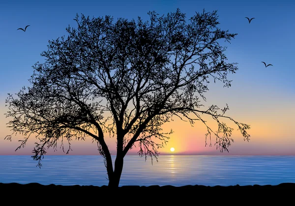 Coucher de soleil au bord de la mer avec une silhouette d'arbre . — Image vectorielle