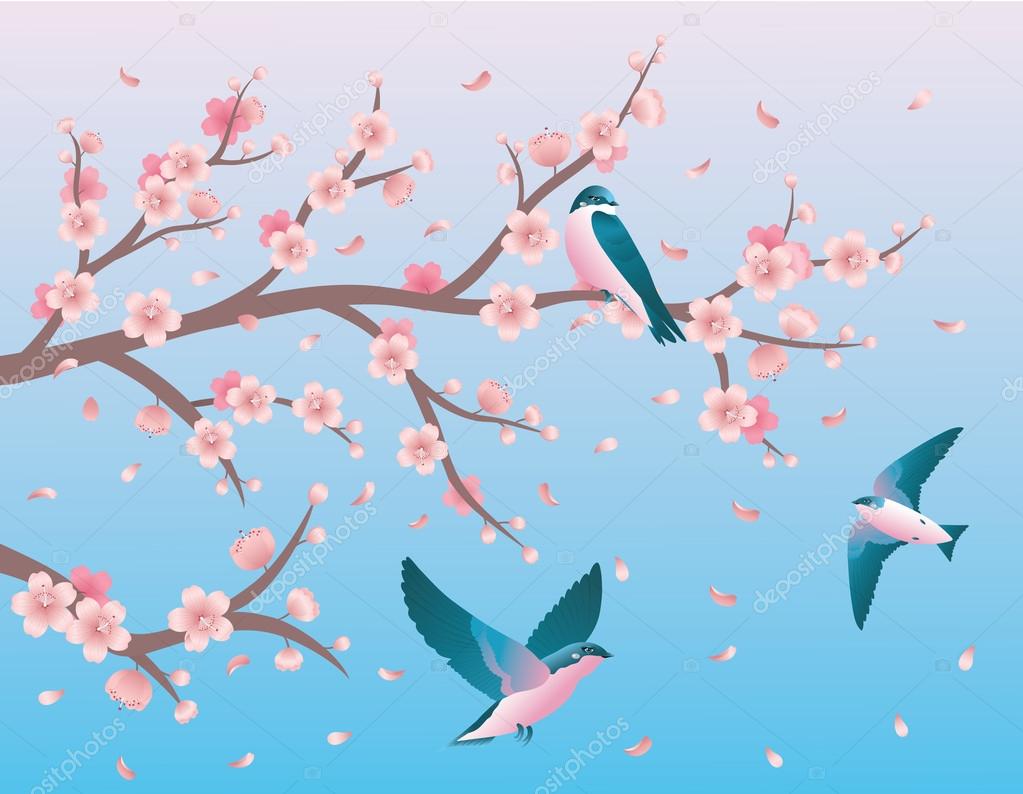 One swallow sitting on a branch of a cherry blossom and two swallows flying nearby.