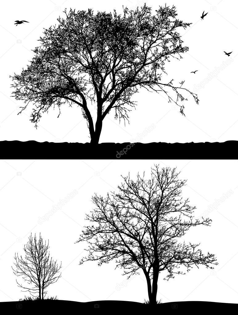 Silhouette of trees and birds on the white background.