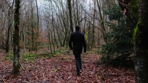 가을 숲 속을 걷는 나무 위의 무서운 사람. — 비디오