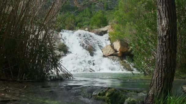 Cachoeira grande bonita em tempo real. — Vídeo de Stock