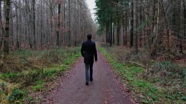 Figura humana caminando en un bosque. Hombre oscuro en un bosque. — Vídeos de Stock