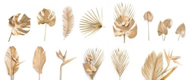 Altın palmiye yaprakları. Beyazda izole edilmiş.