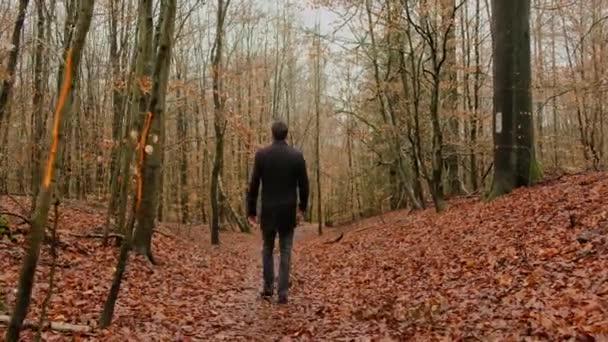 Figura humana caminando en un bosque. Hombre oscuro en un bosque. — Vídeos de Stock