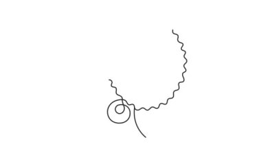 Modern tarzda bir kadının yüzü..