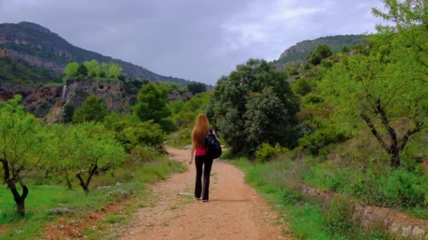 女人在走路女孩正在大自然中远足.绿色森林景观. — 图库视频影像