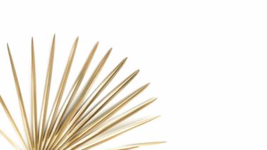 Altın tropik palmiye yaprağı. Beyazda izole edilmiş. 