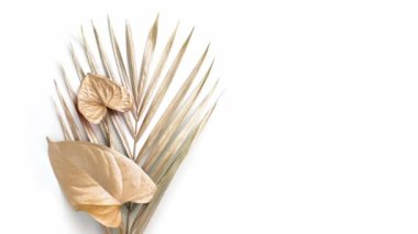 Altın tropik palmiye yaprağı. Beyazda izole edilmiş. 