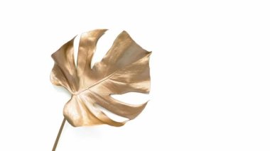 Altın tropik palmiye yaprağı. Beyazda izole edilmiş. 