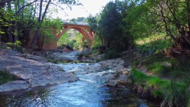 Drone video en un bosque verde con un río y un puente con un arco. — Vídeos de Stock