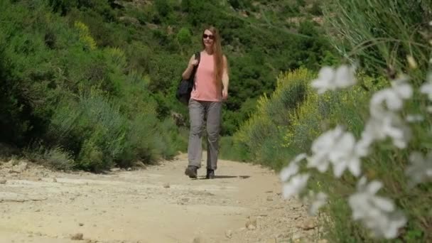 Mujer Camina Con Una Mochila Chica Senderismo Naturaleza Paisaje Forestal — Vídeo de stock