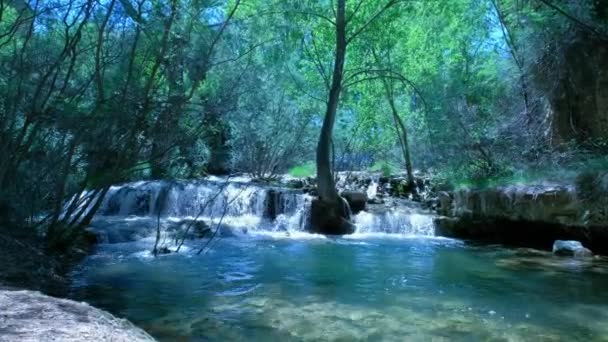 野生の森で美しい妖精の滝 新鮮な水の滝の川が流れる 轟音ストリームを実行して森の岩 緑豊かな自然のパノラマの風景 — ストック動画